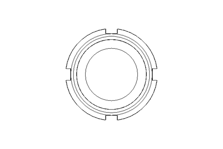 Slotted nut F DN25 1.4404 DIN11851