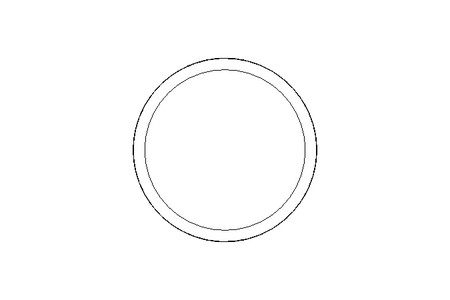 Sealing ring G DN65 FPM DIN11851