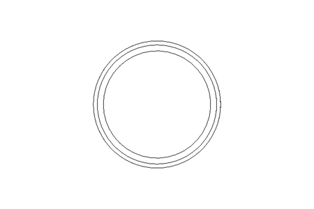 Sealing ring G DN50 FPM DIN11851