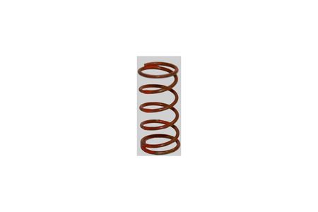 PRESSURE SPRING     EA  9827-1