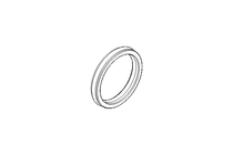 Sealing ring PVM 19.5x24x3.6 PTFE