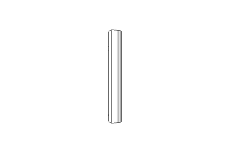 Sealing ring PVM 19.5x24x3.6 PTFE