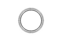 Sealing ring PVM 19.5x24x3.6 PTFE