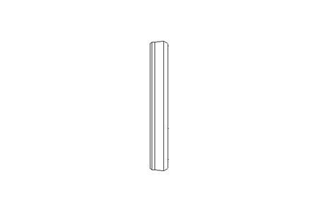 Sealing ring PVM 19.5x24x3.6 PTFE