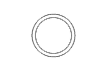 Sealing ring PVM 19.5x24x3.6 PTFE