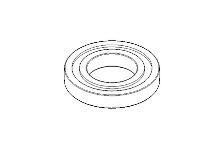 Deep groove ball bearing 16005 25x47x8