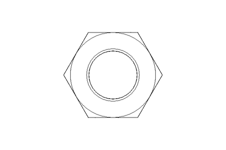 Hexagon nut M22 A2 DIN439