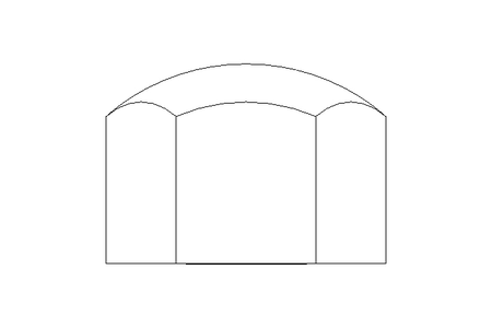 Hexagon cap nut M10 A2 DIN917