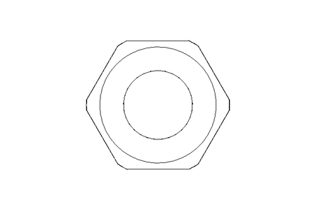 Hexagon cap nut M12 A2 DIN917