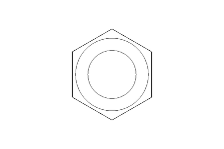 Hexagon nut LH M24x2 St-Zn DIN936