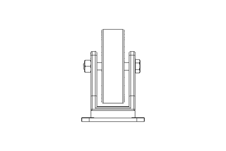 Castor 100x30 70kg