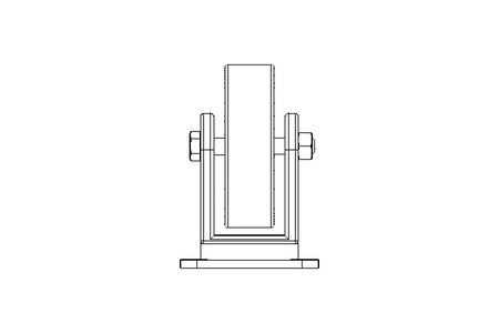 Castor 100x30 70kg