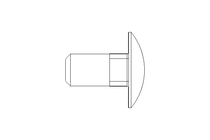 Round head screw M10x20 A2 DIN603