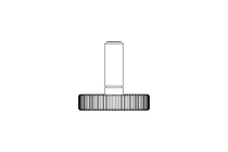 KNUR.SCREW M 4X 12  A2 DIN 653