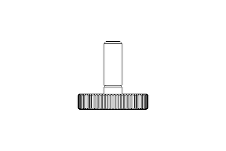 KNUR.SCREW M 4X 12  A2 DIN 653