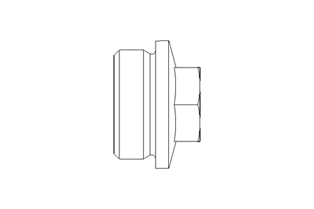 SCREW PLUG R1 1/4"  A2 DIN 910