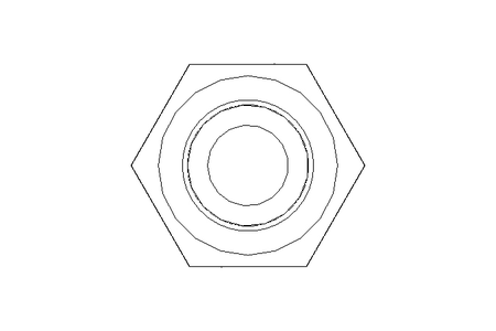 Tornillo cab. hexag. M6x100 A2 70