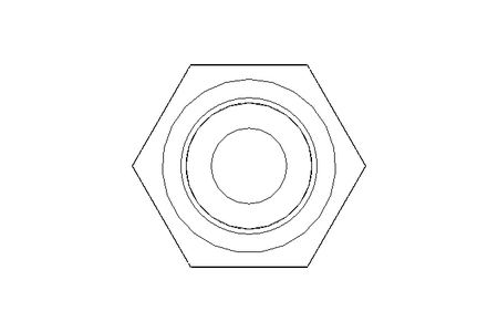 Hexagon screw M5x55 A2 70 ISO4014