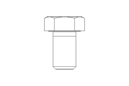 Hexagon screw M36x60 8.8 ISO4017