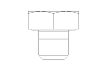 Hexagon screw M10x10 A2 70 ISO4017