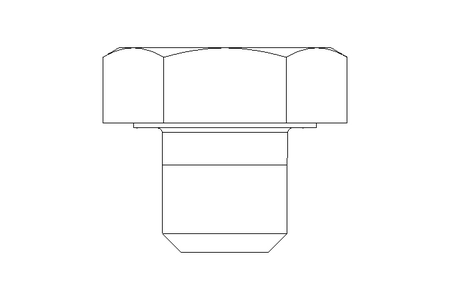 Hexagon screw M10x10 A2 70 ISO4017