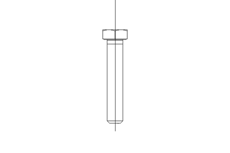 Hexagon screw M10x55 A2 70 ISO4017