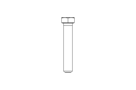 Vite a testa esagonale M12x70 8,8