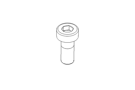 Cap screw M5x12 A2 70 DIN6912