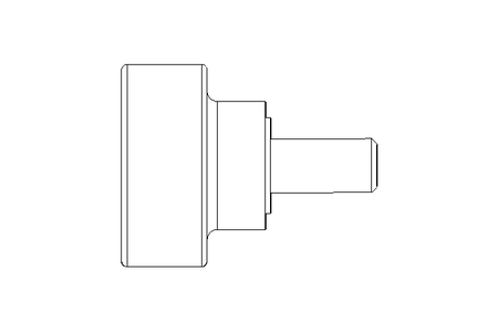 KNURLED SCREW  GN 421  M5 x 10