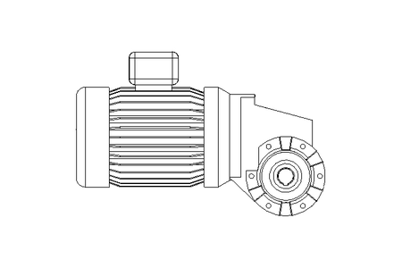 Schneckengetriebemotor 0,25kW 14 1/min