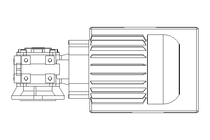 WORM GEAR MOTOR