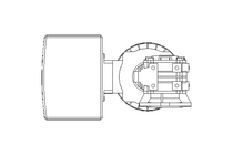 WORM GEAR MOTOR