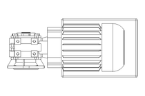 WORM GEAR MOTOR