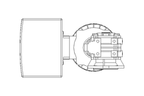 WORM GEAR MOTOR