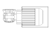 WORM GEAR MOTOR