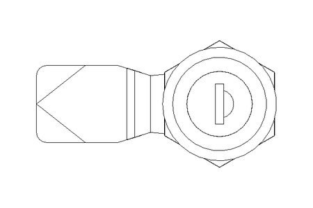 Drehriegel mit Zunge H20