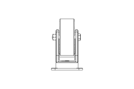 Lenkrolle 100x40 350kg