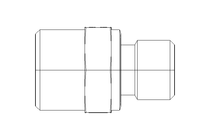 Pipe screw connector L 12 G1/4"