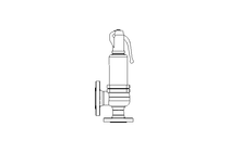 ARI SAFETY VALVE  DN32/50