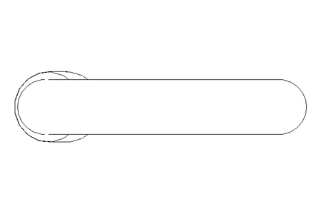 CARBINER HOOK 70x7 SCREW  LOCK