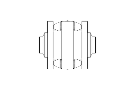 DISK VALVE SVS1-FZ DN25 25-21-27/669