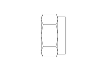 Hexagon nut M12 A2 DIN985