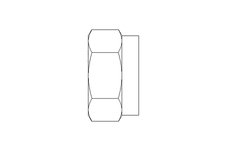 Hexagon nut M12 A2 DIN985