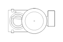 GEAR MOTOR