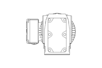 GEAR MOTOR