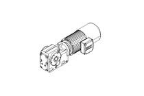 GEAR MOTOR