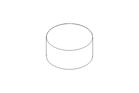 Dauermagnet D12x6 N48