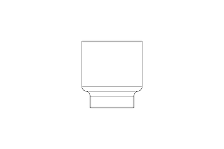 Anschweissmuffe G3-1/4" / DN10 1.4404