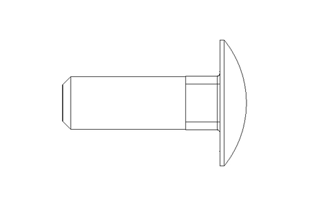 Round head screw M10x30 A2 DIN603