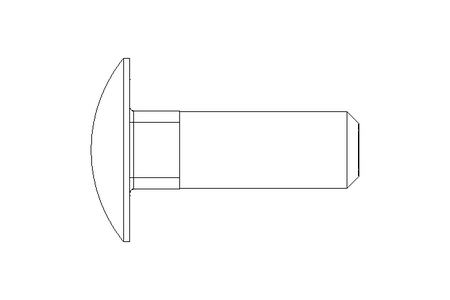 Round head screw M10x30 A2 DIN603